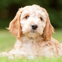 grace gale - @GGisepic - Twitter