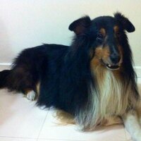 Juanse (@juanse3408) 's Twitter Profile