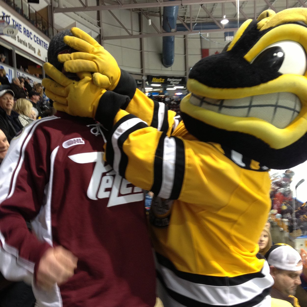 johnstefano12's profile picture. 