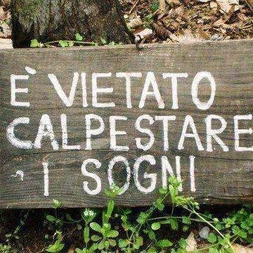 AntonelloPirass's profile picture. Consulente Privacy&Security, Formazione Professionale, Europrogettazione, Fundraising - Viaggi, Musica con lo spirito del Naso Rosso