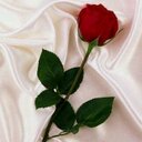 aracelis alvarez (@13_aracelis) Twitter