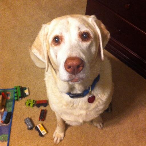 crw_okc's profile picture. 