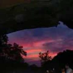 shawneecave's profile picture. 