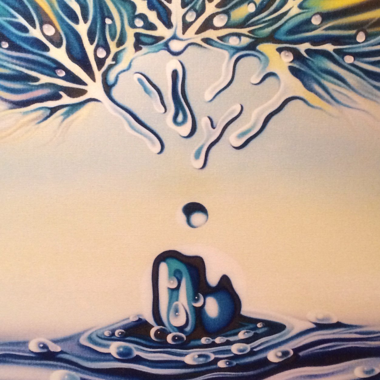 diyaralemi's profile picture. Bize her yer TRABZON.