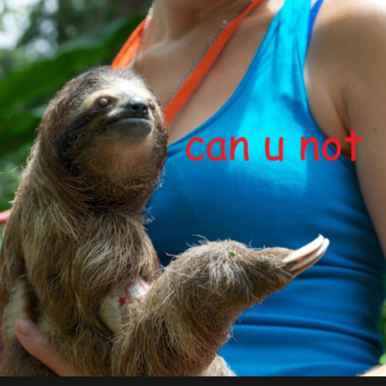 Release your inner sass
