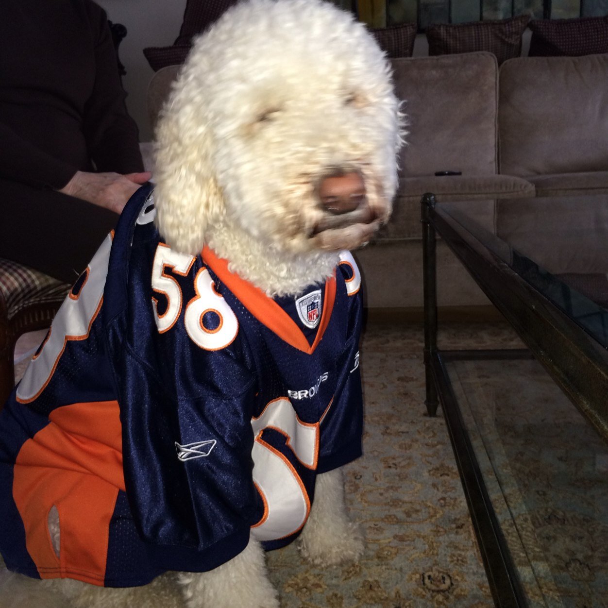 Sports Fan.