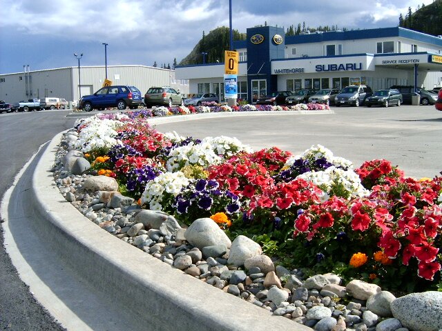 Subaru and kia dealership in Whitehorse Yukon.
selling and renting vehicles