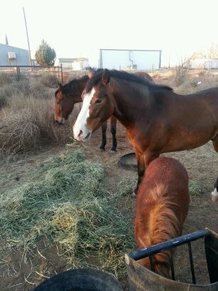 haze2blaze's profile picture. follow me on Instagram. haze2blaze Proclaimed wallflower ♉♈ born 4/20