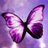kristine_dove's profile image