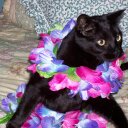 Jeff Sarver - @JeffSarver1 - Twitter