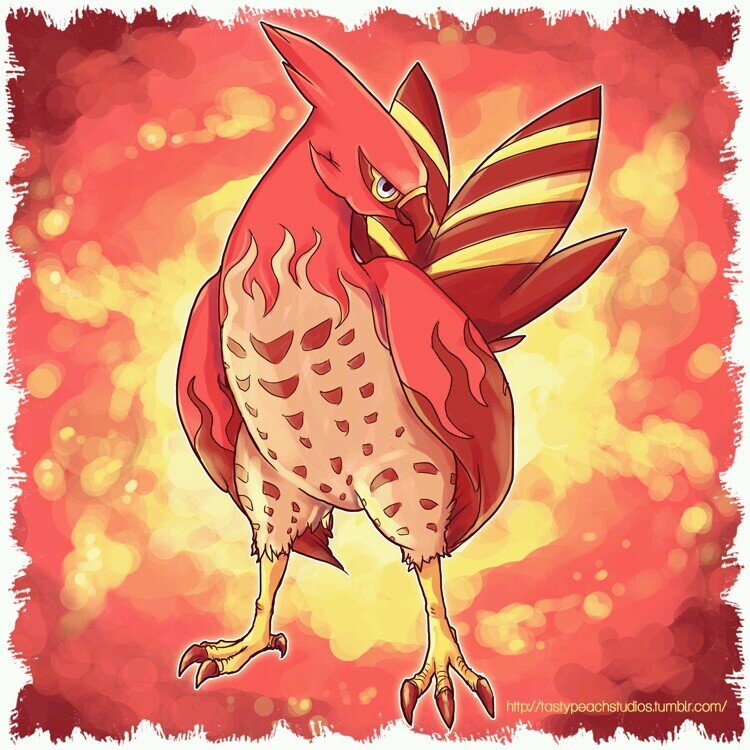 This Talonflame is rather Nice, His trainer is @Official_Touko. He Is quiet at first. Lv.37 |Male. Mate: @FireryTalons|