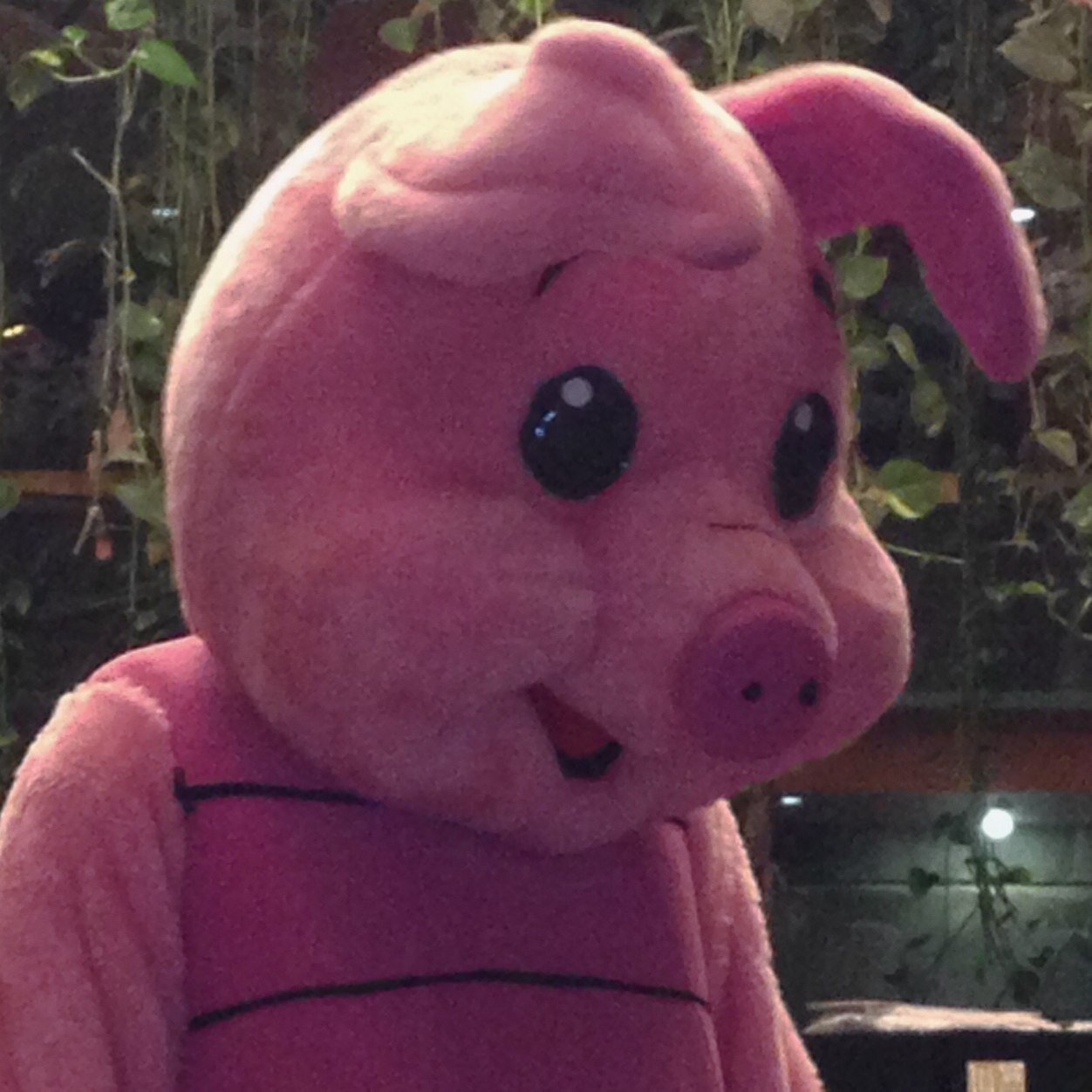 biosupertoby's profile picture. 