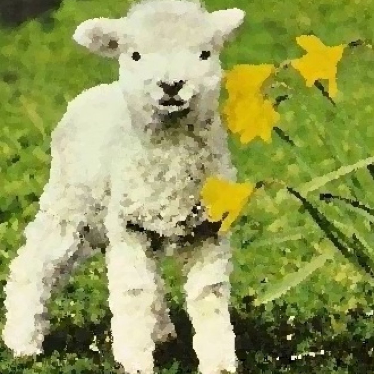 #gigatownnsn Lamb speaking up for the Sheeple. We're not just followers! My professional acct: @TaniafromNelson This acct set up purely for our bid for GFB