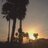 6nshy_yana's profile image