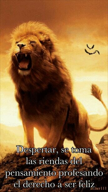 luciano35b's profile picture. 