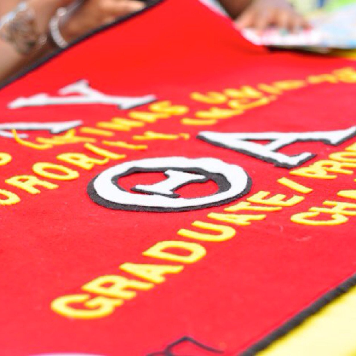 The Theta Alpha Graduate/Professional Chapter of Sigma Lambda Upsilon/Señoritas Latinas Unidas Sorority, Inc. is based in New York City.