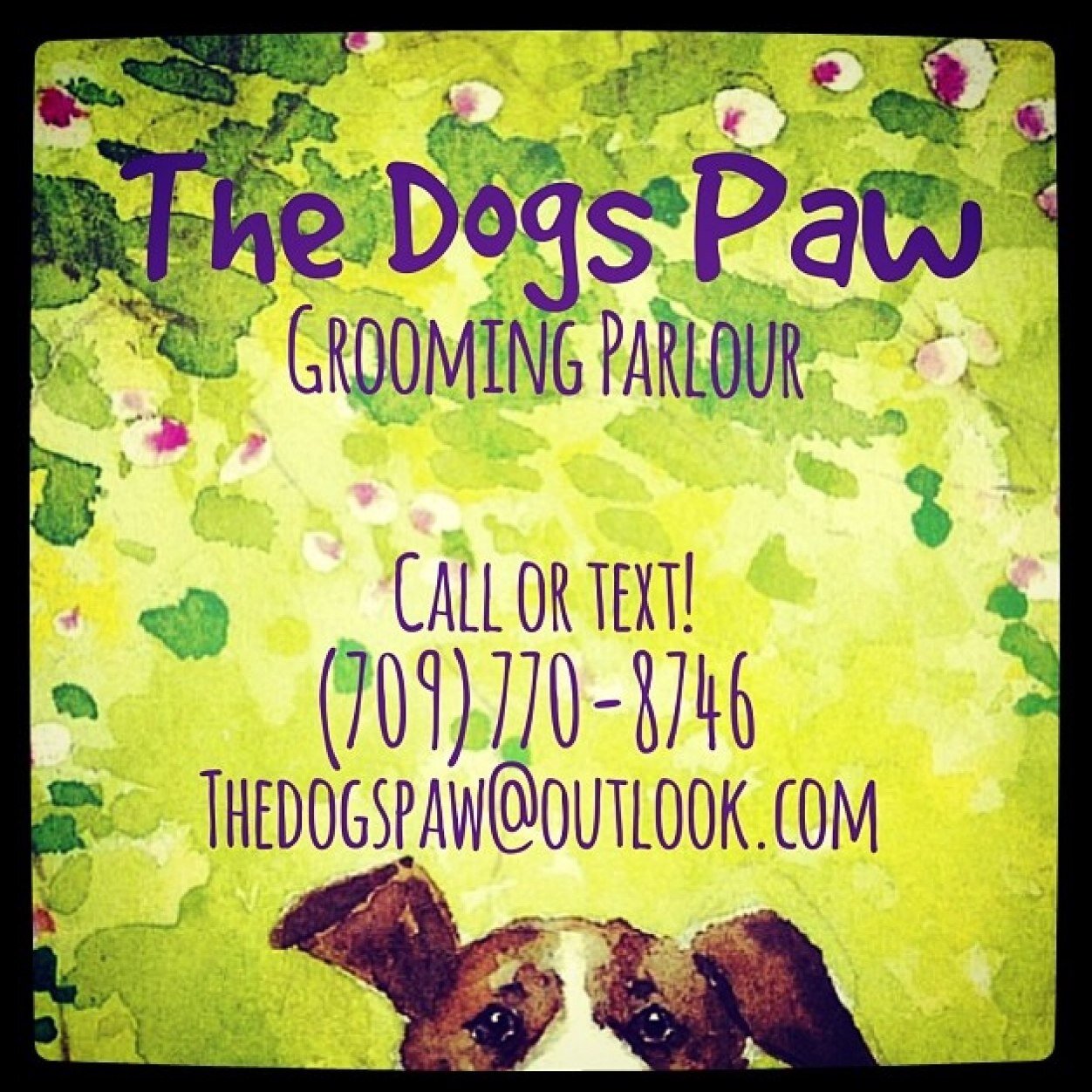 ThedogspawNL's profile picture. Dog Grooming Parlour located at 29 Hill Road, Dildo, Newfoundland. Big or small, we groom them all! 
Call or text us for an appointment!
 (709) 770-8746
