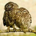 Silas Kleeb (@09698bb28b4342c) Twitter