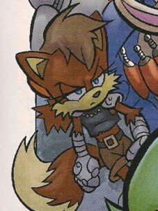 I'm Payback Fox. The alternate reality version of Fiona Fox. I was partly robotisized to cure injuries. I'm fighting against ENERJAK....(RP:ARCHIE)