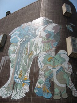 PS503's profile picture. PS 503: The School for Discovery and Exploration is safe place where all members of our diverse community learn side by side with one another.