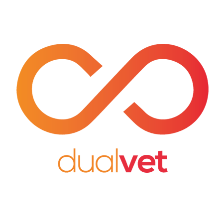Formación Profesional Dual. Formando a los tutores de empresas. - Dual VET System. Training to company trainers