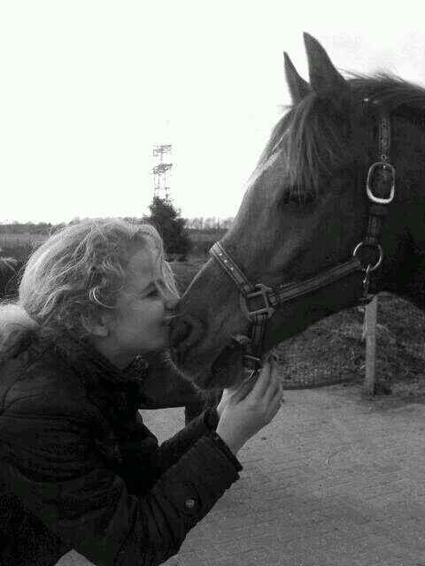 gek geboren gek gebleven paardengek mijn hele leven ~20-12-13~ i try to fix you