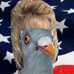 WandasWig's profile picture. The capitol's most outspoken hairpiece. Star of The Daily Show. Free at Last, Free to Blast