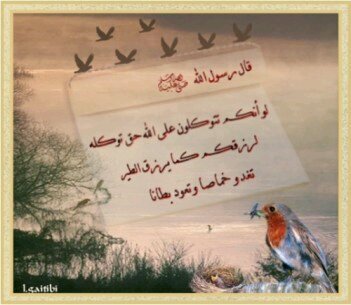 ‏‏الحياة هي الأمل الذي نتطلع بها نحو غدا أفضل كن مع الله لاتبالي في كلام من حولك. ف صنعك لانفسك بنفسك أبداه ب إبتسامة ونتهي بهآ