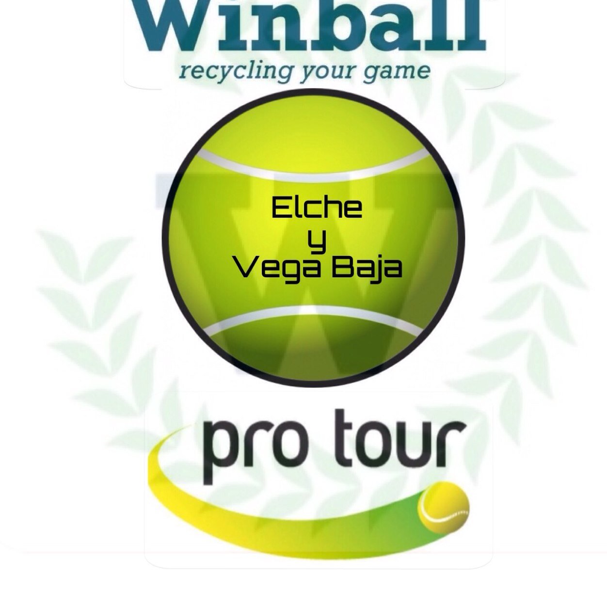 winballprotour's profile picture. 