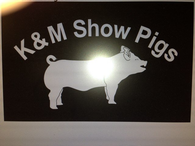 TBthequarter's profile picture. 