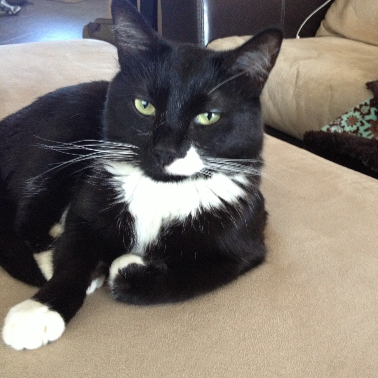 keonsproule's profile picture. 