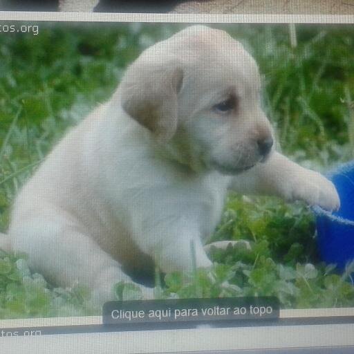 Saber apreciar la Vida es lo mas maravilloso que hay!!!!