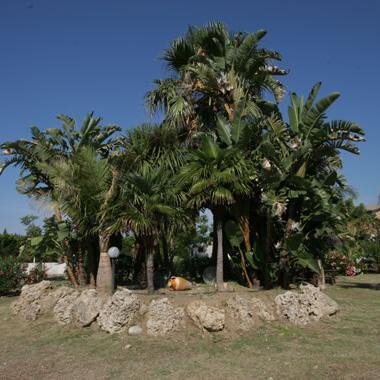 Il Villaggio Camping Calypso è un'oasi di pace che si affaccia direttamente sul mare Jonio ad 1 km da Caulonia M.