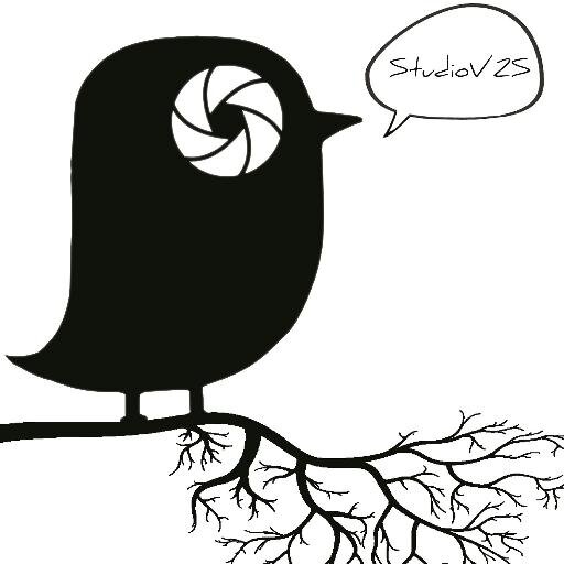 Studiov2s's profile picture. Fotógrafa