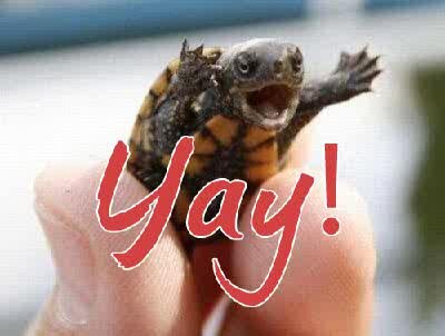 Follow for funny stuff!:)