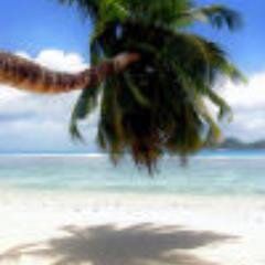 KantKantina's profile picture. Na korak od nervnog sloma.