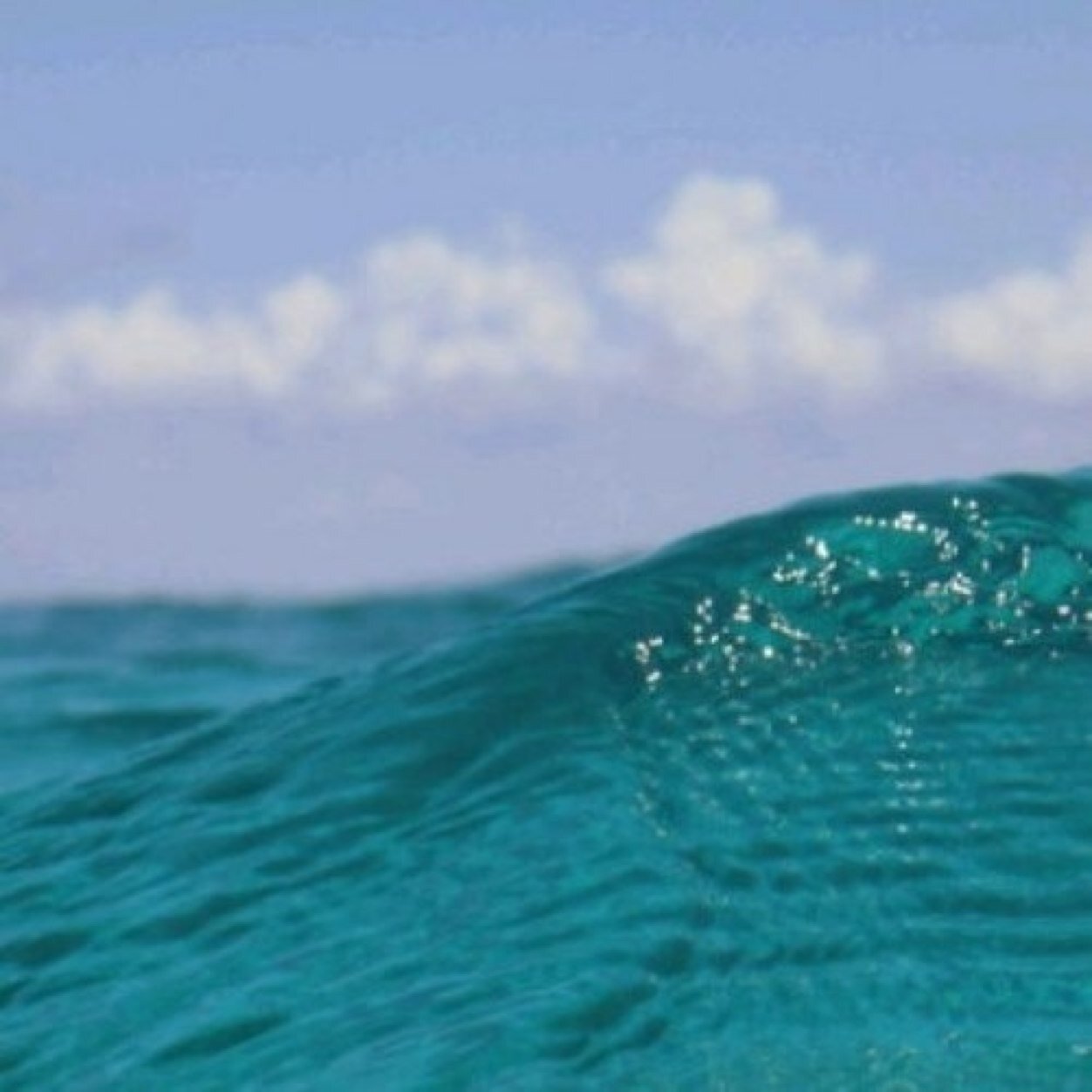 _hlm2's profile picture. 