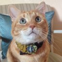 Sharon Frink - @SharonFrink2 - Twitter