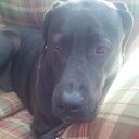 David Minter - @davidminter3210 - Twitter