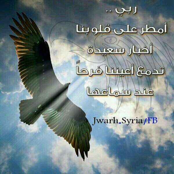 ههههههههههههههههههههههههههههههههههههههههههههہَ ة ˛⁽ 😂❤️₎ ˛هُ ˛ ❥