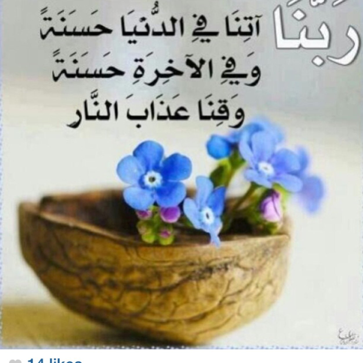 ربماء اصبح صغيره في السن .. لاكن طموحي .. واصراري ليس له حدود ..