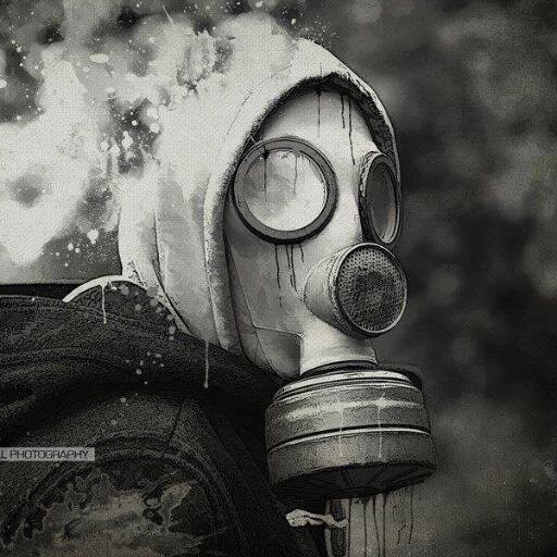 bernardtancray's profile picture. 