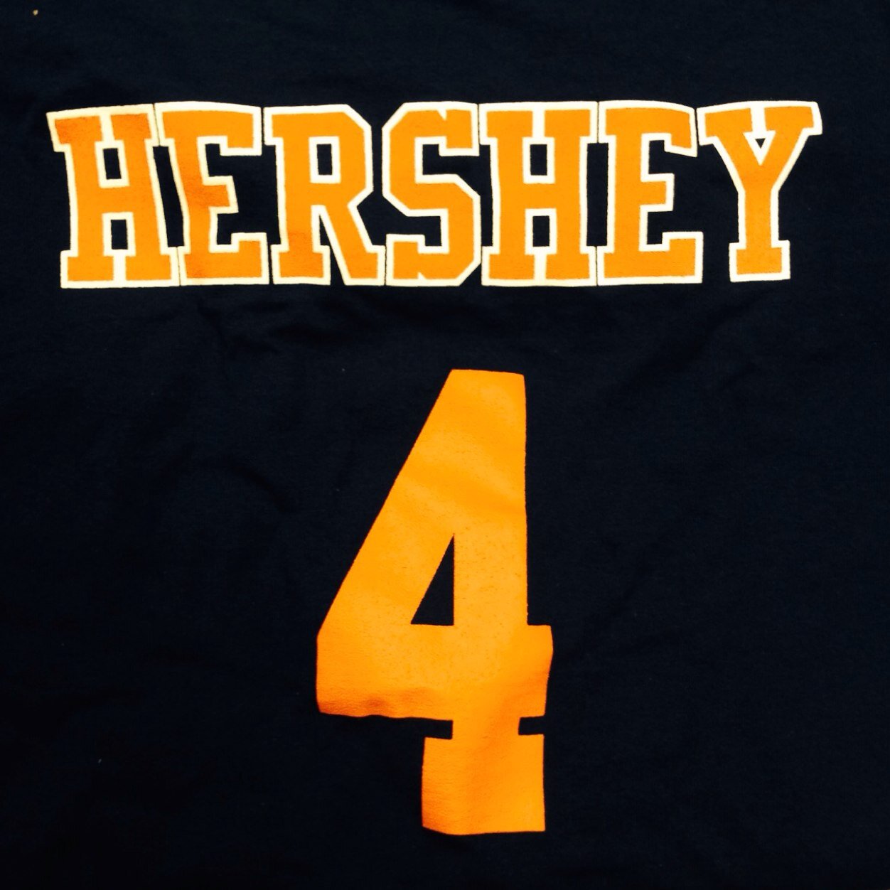 Hershey Boys Volleyball Established 2003 Built from the ground up...Built to last!! 2015, 2016 Conference Champions