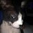 tvp1234's profile image