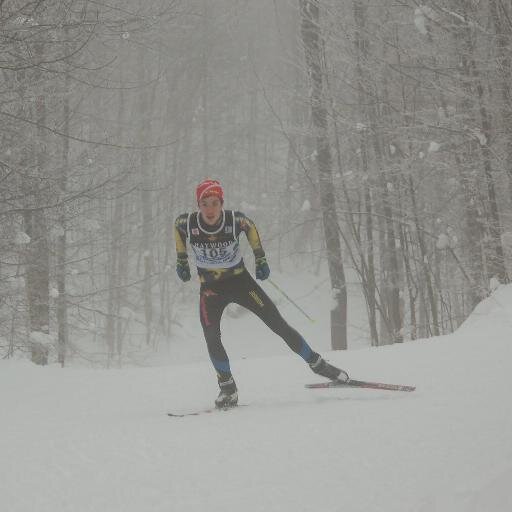 Skier