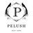 PelushNYC's profile image