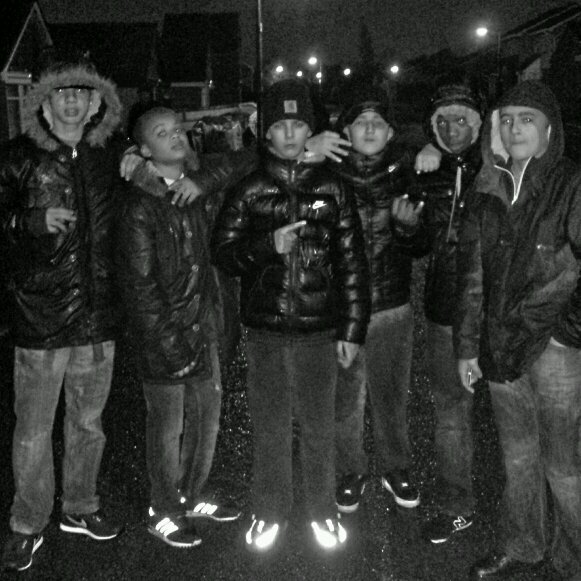 Jungle FreeCp&Ck
