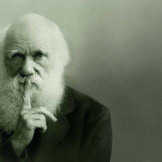 Losascensores's profile picture. ¿Cansados de ese silencio incómodo de ascensor? Bienvenidos al blog de Elisa Naharro, en el que hablo de todo, menos de ascensores.