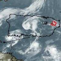 Luquillo LTER (@luqlter) 's Twitter Profile
