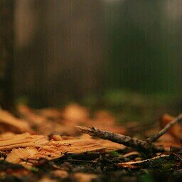 castelelijose's profile picture. 